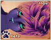 [Pets] Ame | hair v6