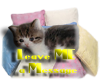 aww Leave a Message