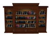 Dawn Library