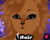 | Shi Hair 2 |