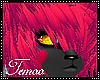T|» Korro Hair v4