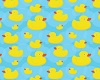 Duckie Floaties