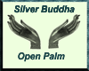 Buddha Palm