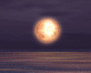 AtR-Ocean Magic Night