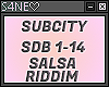 SUBCITY-SDB-SALSA RIDDIM