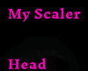 My Scaler Head