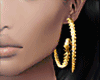Serpent Hoops