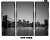 NY Brooklyn Bridge |K|