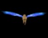 michelle blue wings