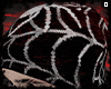 Beanie Spider