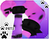 [Pets] Ari |spiked bands