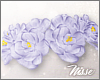 n| Rose Crown Lilac
