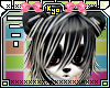 |KyO| Panda Hair 2