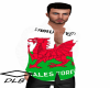 Welsh Mens Shirt
