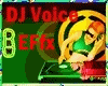 [10] DJ Voice EFx