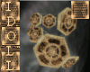 SteamPunk :i: Cuff Set