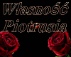 Wlasnosc Piotrusia