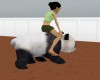 (v) Animated Panda Ride