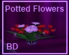 [BD] Potted Flowers