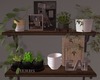 TE| Kitchen Shelf