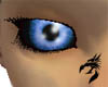 Blue wolf eyes
