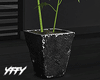 Weed Plant Pot