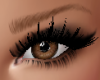 Brown Eyes- Ojos Marron
