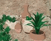 Natural Pottery Plants