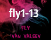 Valeev-Fly