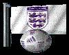 england flag n ball