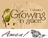 Growing in Grace Tee (M)