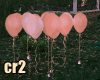 Peach Decorating Balloon