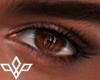 Chocolate Eyes