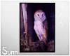 S: Owl painting