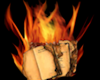 [SL] Burning book enhanc