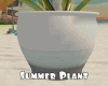 *Summer Plant
