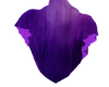 purple and blue ghostie