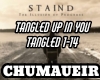 TangledUpInYou-Staind