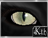 Kth Cat Eyes Rgy