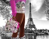 PARIS Fashion bag anim