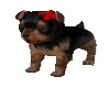 ANTIMATED TERRIER PUPPY
