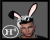 [H4] Animated Bunny Ears