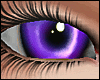 Ultra Violet Unisex