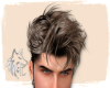 GL Castanhos