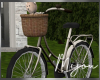 M. Bicycle