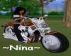 Nina's Native Harley