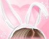 ♡ Bunny ears ♡