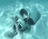 *K* Skull in Water Pic