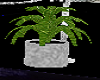 bow~potted plant