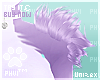 [P] Sivi Shou tufts